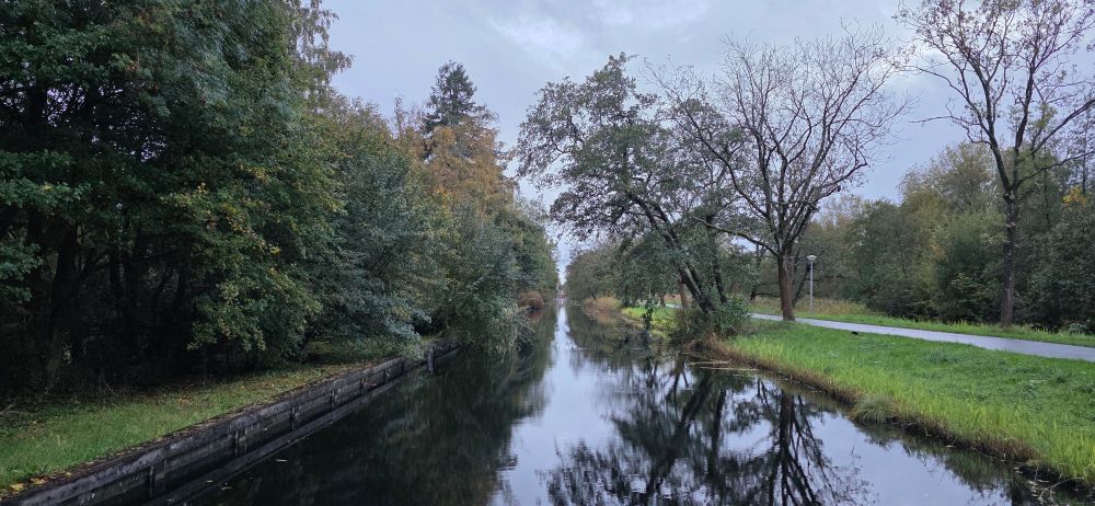 Photo from the bridge over the canal near the office. The morning is pale and lifeless and the trees ever more bare.