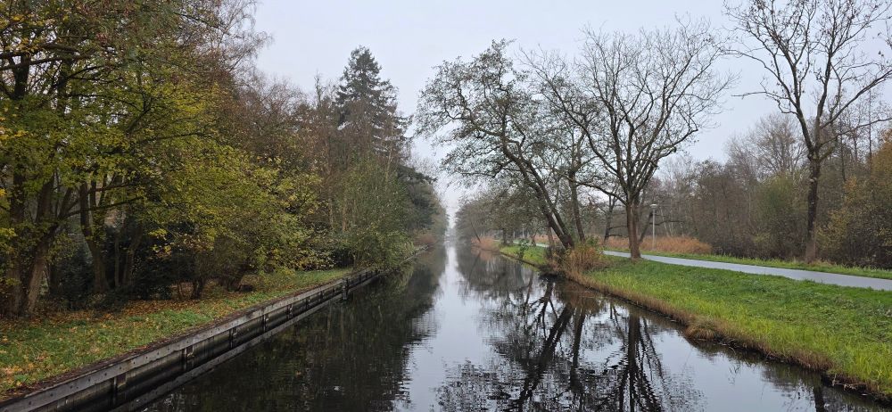 Photo from the bridge over the canal near the office. The morning is cold and there's a thin mist over everything.