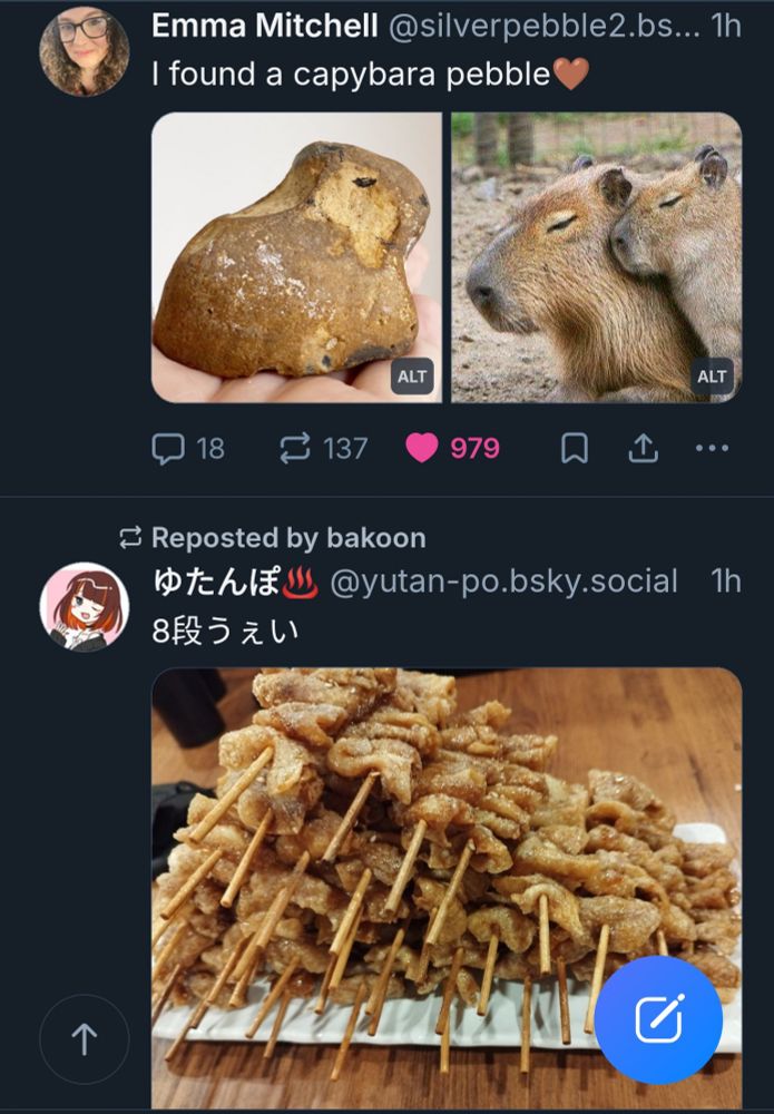 Two back-to-back posts on the timeline. The first says "I found a capybara pebble" and shows a coincidentally-shaped rock next to an adorable photo of a capybara mother and baby. The next post is a picture of meat on skewers, exactly the same shade as the capybaras.