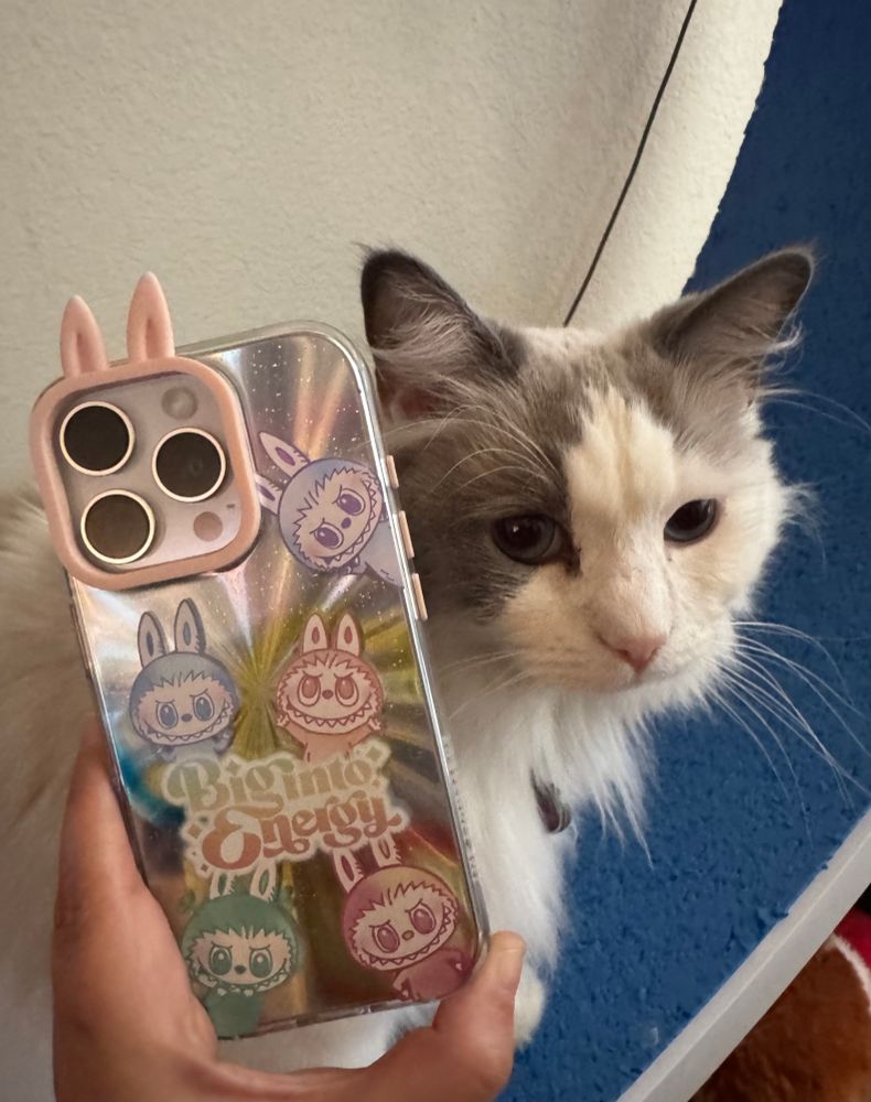 Finally got a new phone (iPhone 16 Pro was using a iPhone 12 mini was having battery issues) with a cute new phone case (was lucky enough to snag a Big Into Energy Labubu phone case!). Have my cute Blue Cream Tortie ragdoll cat, Jasnah, model it off. 
