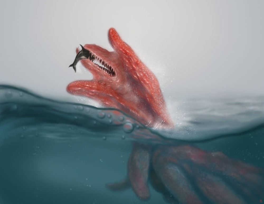 An unidentifiable sea creature with many pectoral fins seeming to have caught a “fish” but on closer inspection has caught an adult orca whale in its toothy maw.