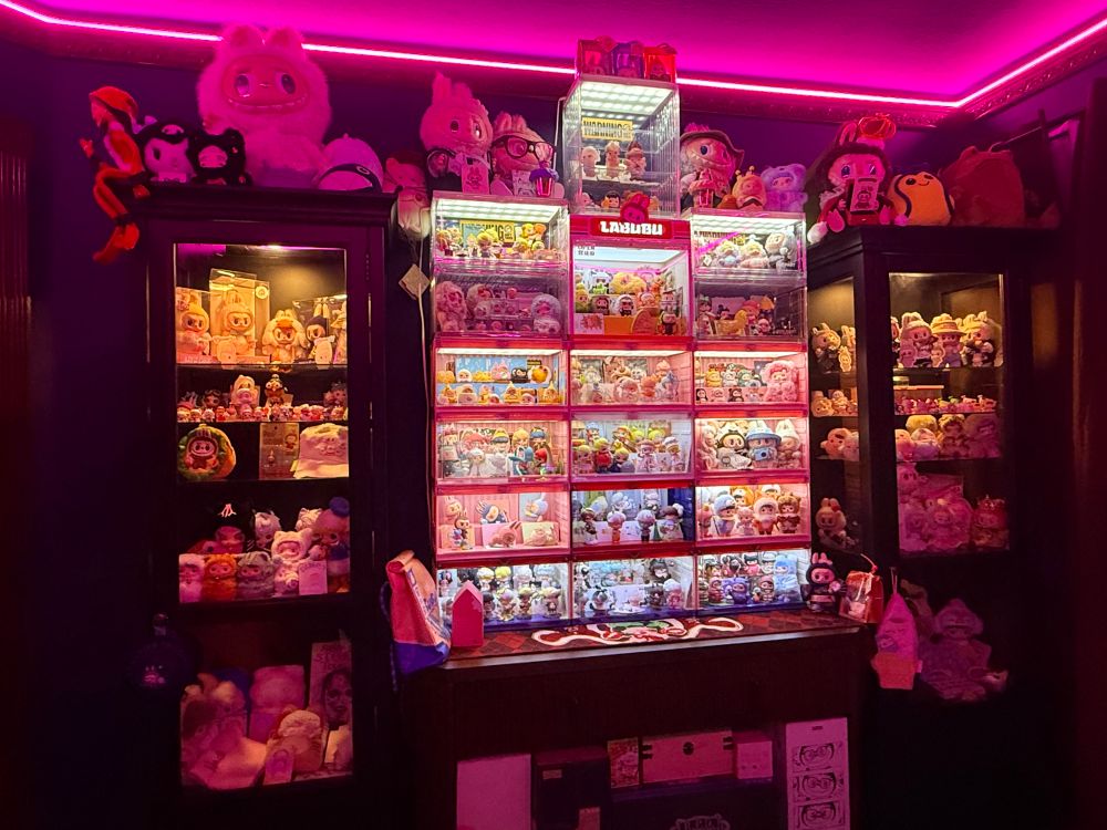 A wall lined with display cases filled with Labubu, Dimoo, Pucky, Molly and other Pop Mart collectibles.