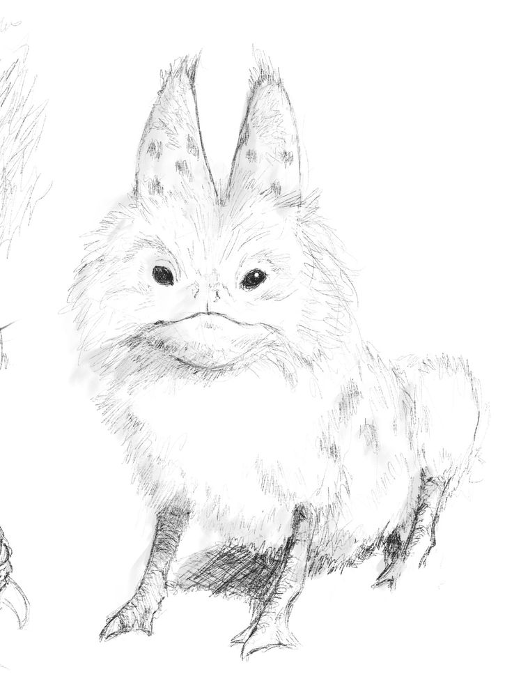 A pencil sketch of a loth cat. It’s sitting like a dog, it’s chicken like feet out front. It’s looking at the viewer straight on and has really long spotted ears. It’s also really fluffy and lightly shaded with greys. 