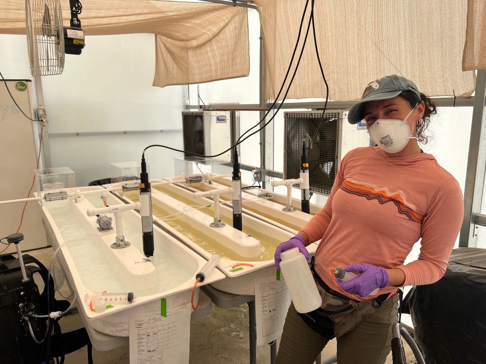 A scientist posing in front of some experimental streams with different colored water.