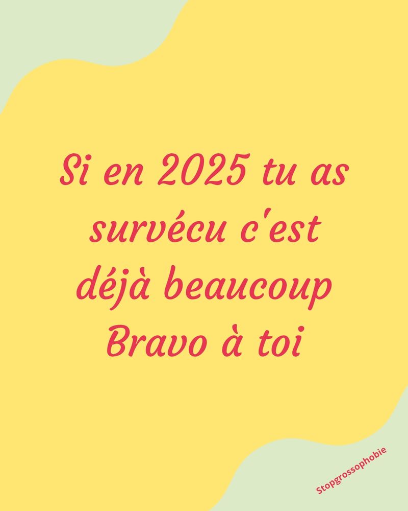 Sur fond jaune écrit en rouge : Si en 2025 tu as survécu c'est déjà beaucoup. Bravo à toi. Il y a une petite vague verte en haut à gauche et en bas à droite (dans laquelle est inscrite stopgrossophobie en rouge)