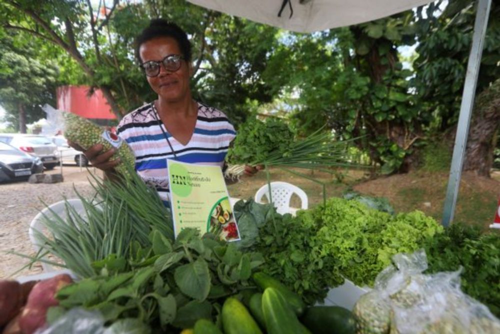 Editais da SPM somam R$ 5 milhões de investimentos para mulheres do campo e quilombolas - Secom GOVBA