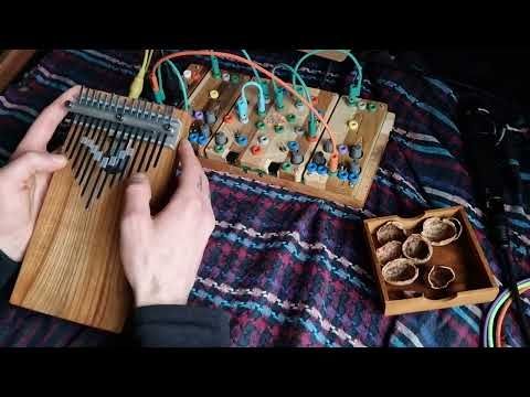 Nøtteskall /// Cocoquantus, eKalimba and nutshells