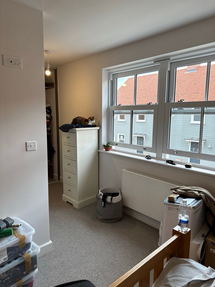 Bright bedroom with grey carpet and white walls, featuring a large window with a view of neighbouring houses with red-tiled roofs. A calico cat rests on top of a tall white chest of drawers beside an open wardrobe. In the foreground, part of a wooden bed frame and bedding is visible. Plastic storage boxes with clothes are stacked in the lower-left corner.