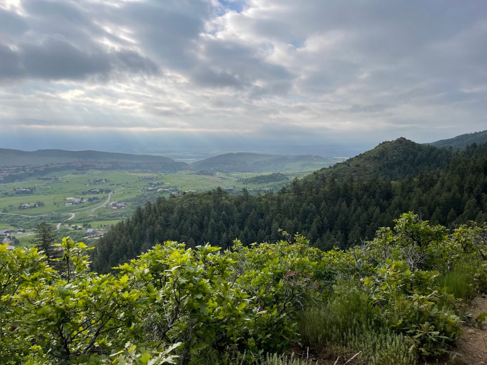 A view east from the foothills of the Rocky Mountains. Sun streams through the clouds and the mountains are green with spring growth. 