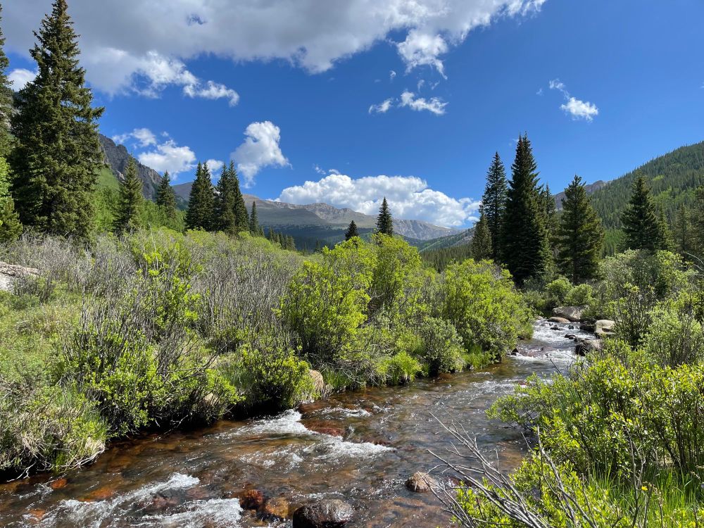 A creek winds through shrubs and trees. Mountains rise in the distance 