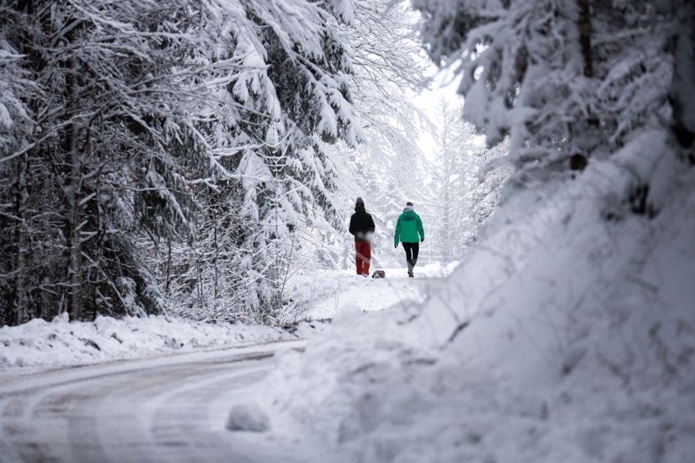 deux personnes se promène sur une route entourée d'arbres, la route et tout le paysage couvert de neige