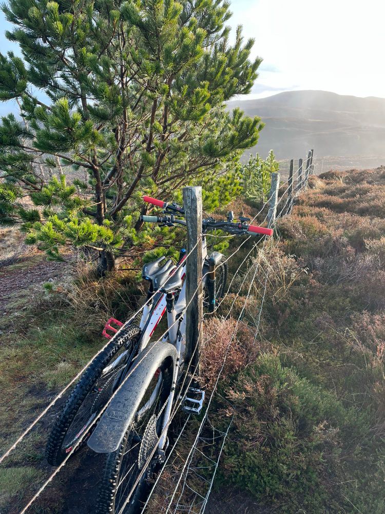 Two muddy MTBs leaning against a fence. 