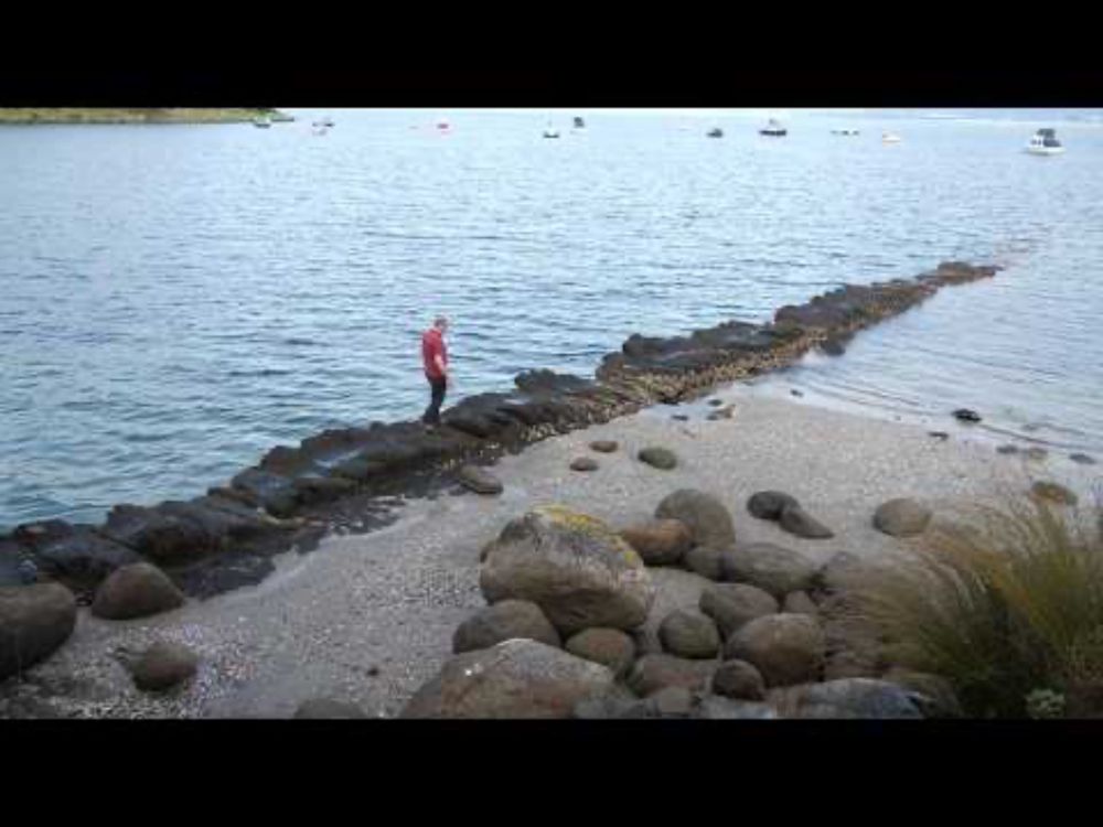 HOW TO READ A ROCK at Whangārei Heads, NZ