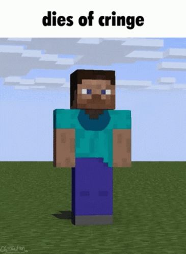 a picture of a minecraft character with the words dies of cringe above him