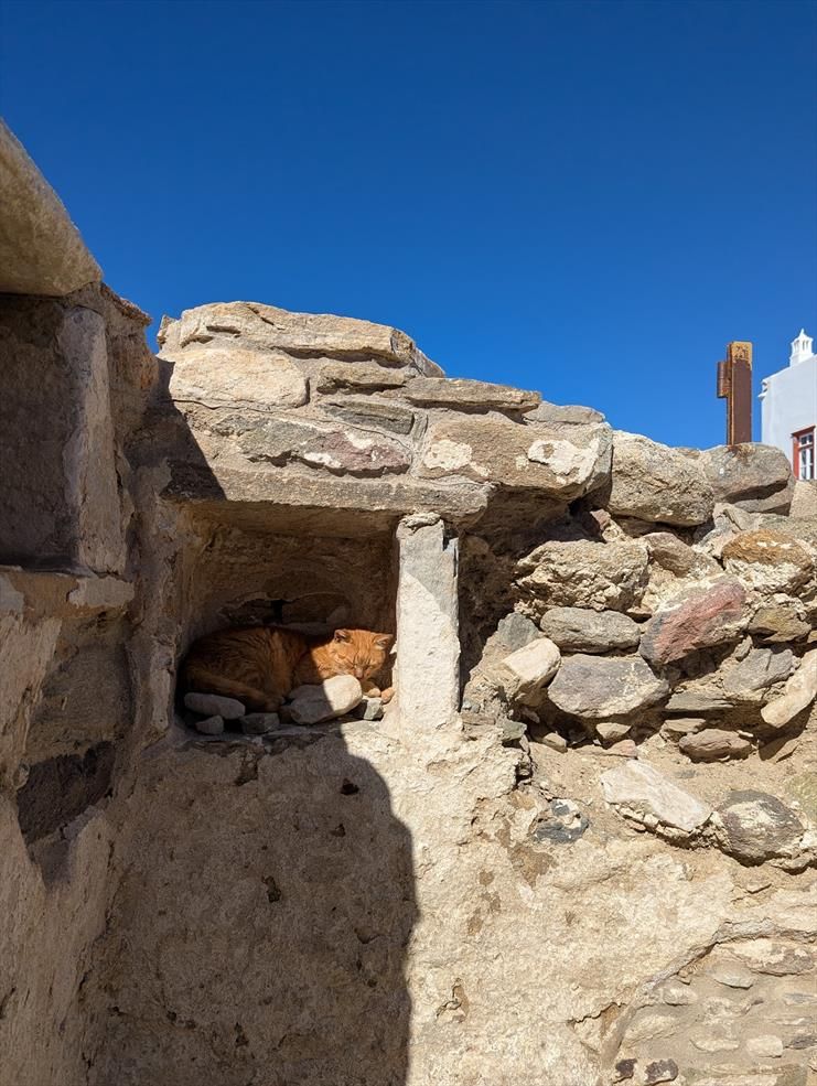 An orange tabby cat sleeps in a hole in a stone wall among several stones. He blends in well.