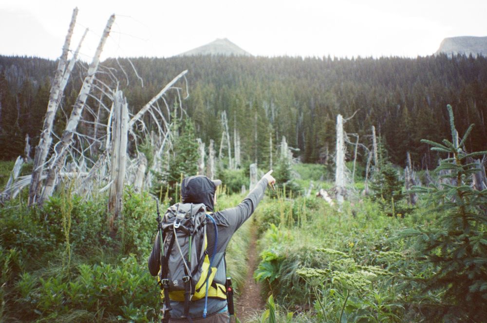 a man (my partner!) stands in a field of ghostly white tree trunks, pointing to something off in the distance 