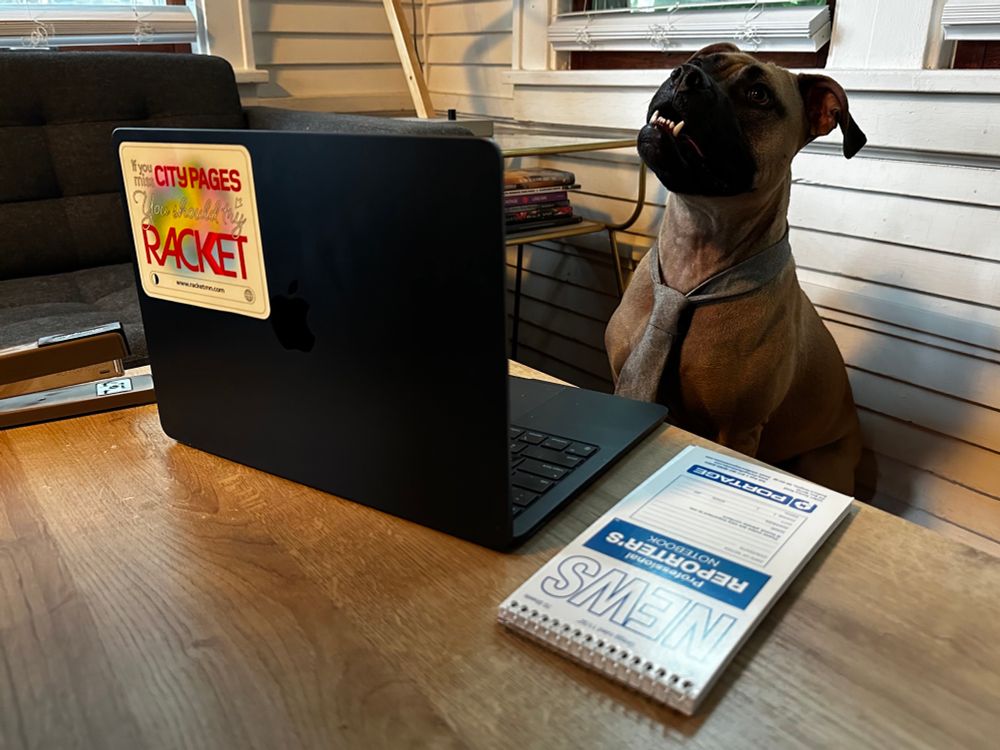 a pit mix wearing a gray tie sits at a black laptop with his underbite teeth OUT