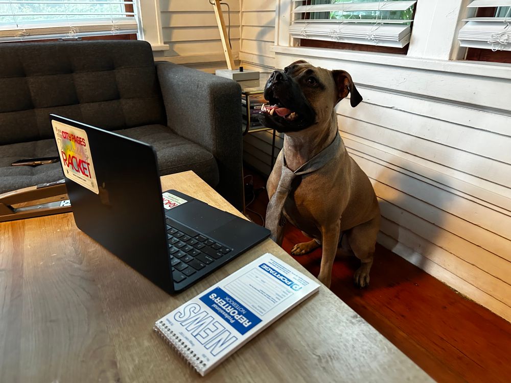 a pit mix wearing a gray tie sits at a black laptop grinning (dogs can grin imo)