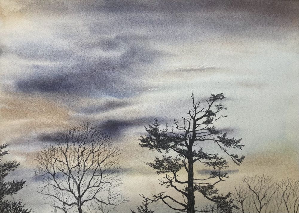 A watercolour and ink painting. The background is a dusky sky with sweeping grey and purple clouds mixed with golden light. In the foreground are several trees done in ink. Most prominent is a scraggly red pine, typical of Nova Scotia. The top has been shorn off by a storm but the tree continues to send up small new stems amid all its broken branches. The other smaller trees are deciduous and bare of all their leaves, suggesting winter. 