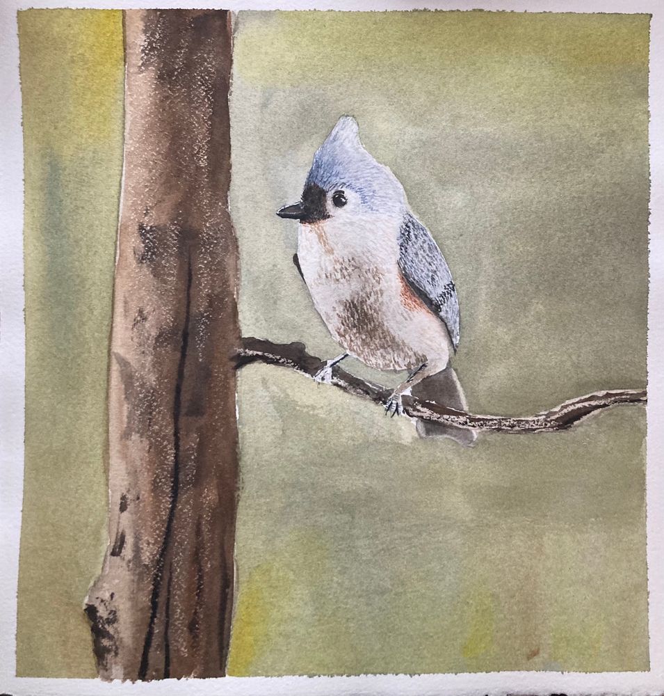 A small blue and brown bird sits perched on a branch against a light green background. 