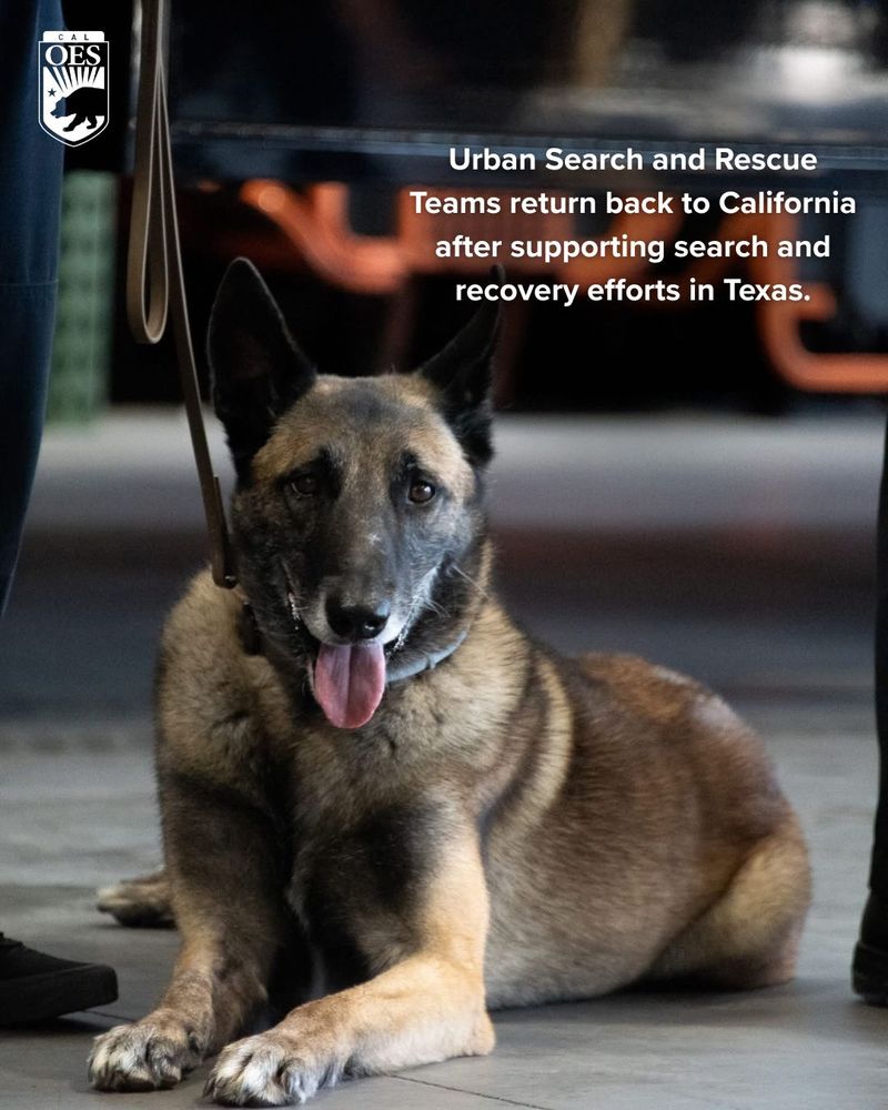 Urban Search and Rescue Teams return back to California after supporting search and recovery efforts in Texas.