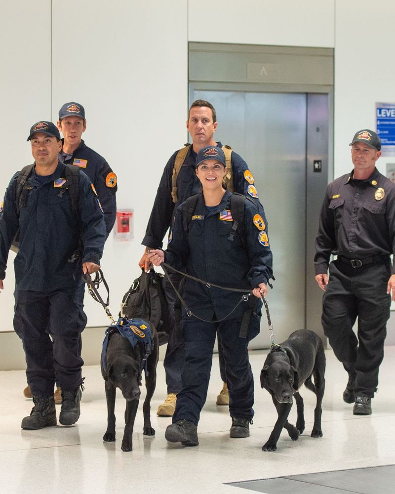 Urban Search and Rescue Teams return back to California after supporting search and recovery efforts in Texas.