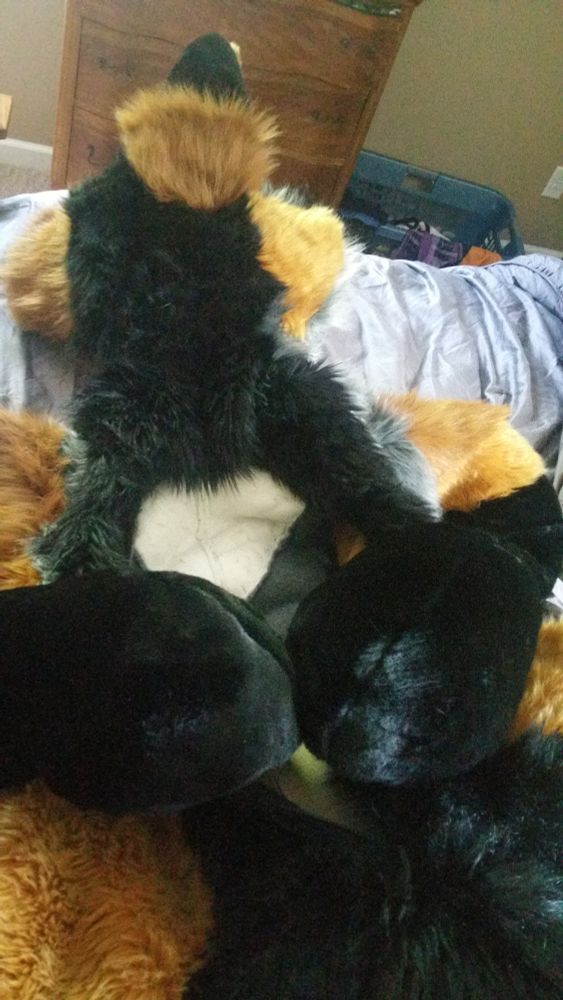 Ancho the plush suit waiting to be worn