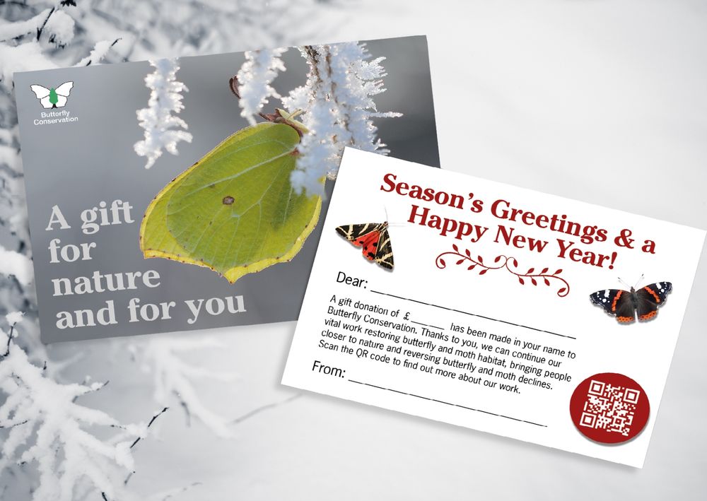A donation postcard from Butterfly Conservation. The front features a frosty Brimstone butterfly with the text 'A gift for nature and for you'. The reverse side features a personalisable message and large red text that reads 'Season's Greetings & a Happy New Year' with a Jersey Tiger moth and Red Admiral butterfly.