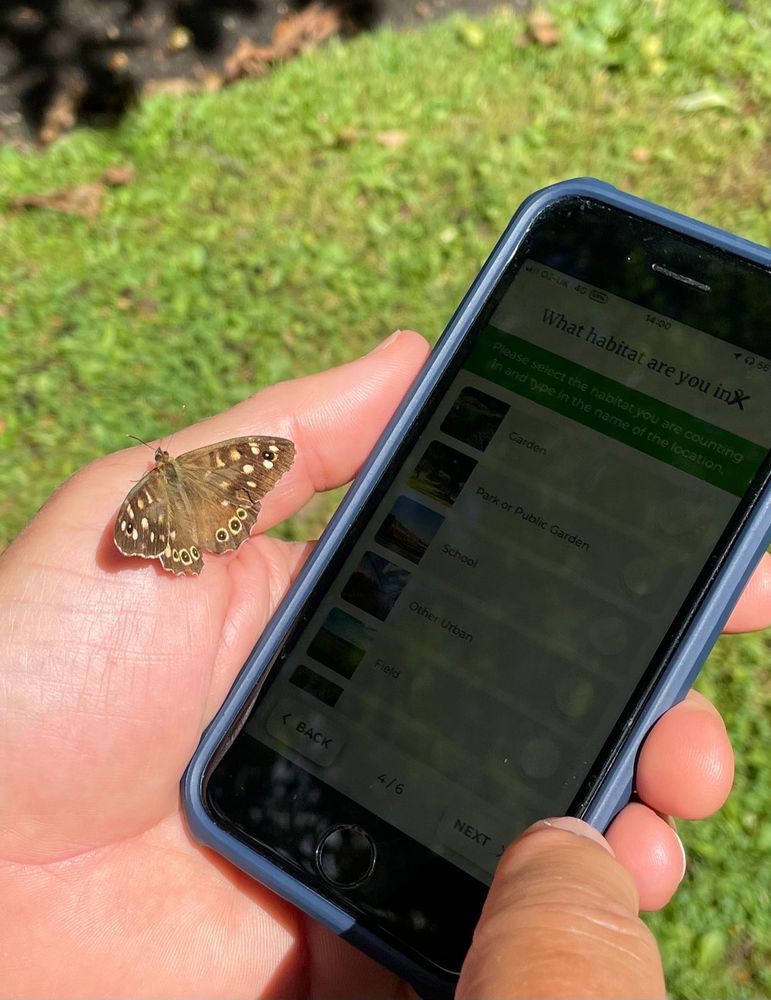 A Speckled Wood butterfly rests on a person's hand as they submit a count through Butterfly Conservation's Big Butterfly Count app.