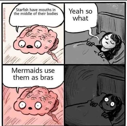 Starfish have mouths in the middle of their bodies.

Mermaids use them as bras.