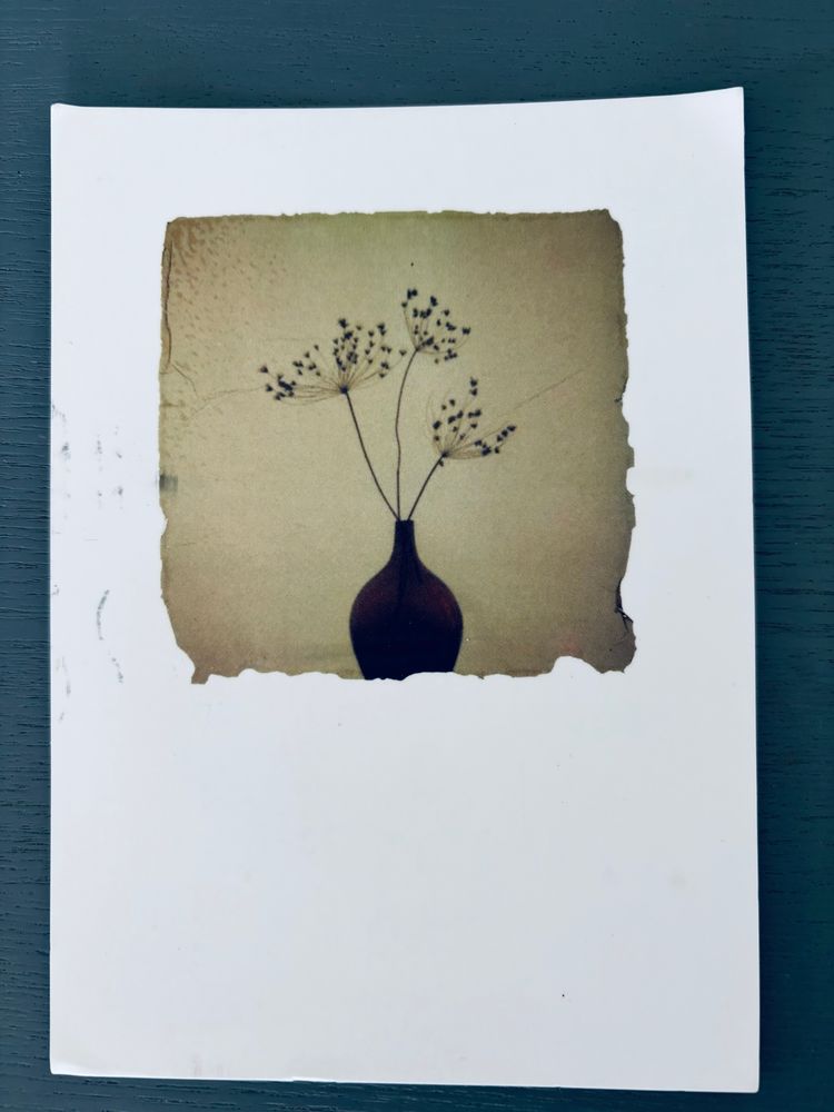Postcard featuring a sepia coloured print of a vase with seedheads. 