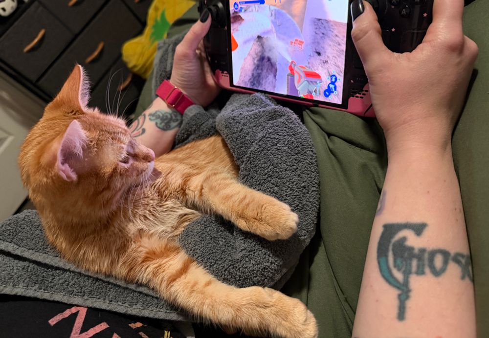 Orange cat, Wubz, watching wife play steam deck. 
