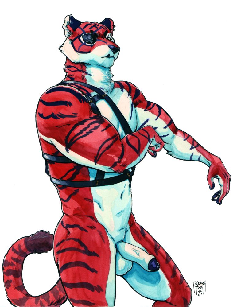 A nude male tiger stands with his penis erect, a leather harness across his torso.