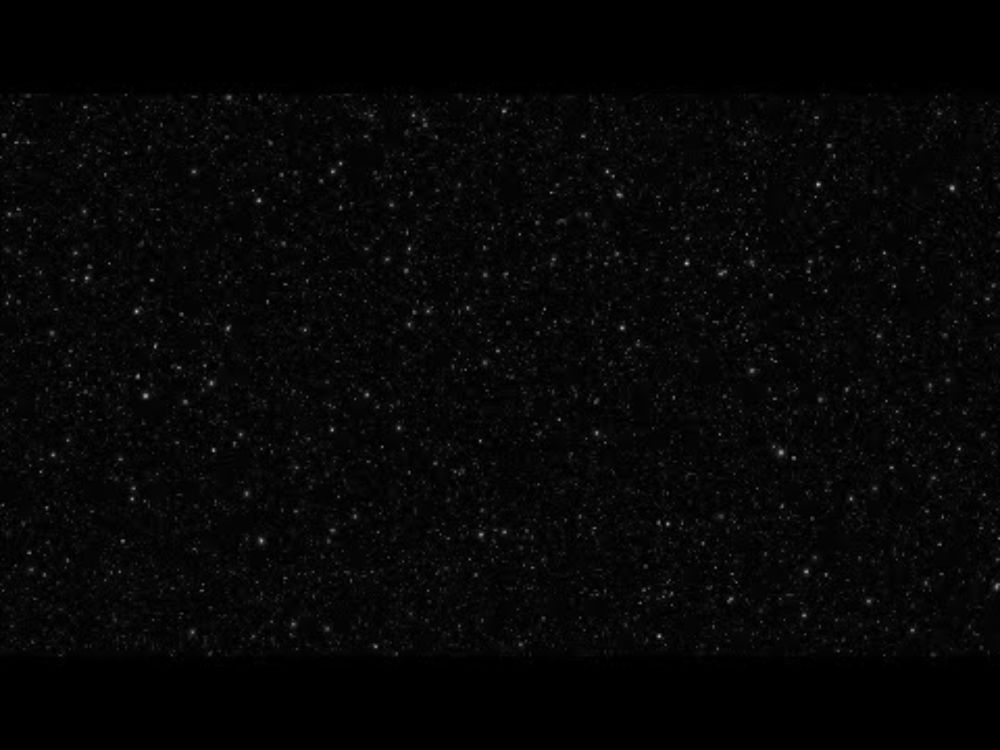 David Lynch's last recorded words