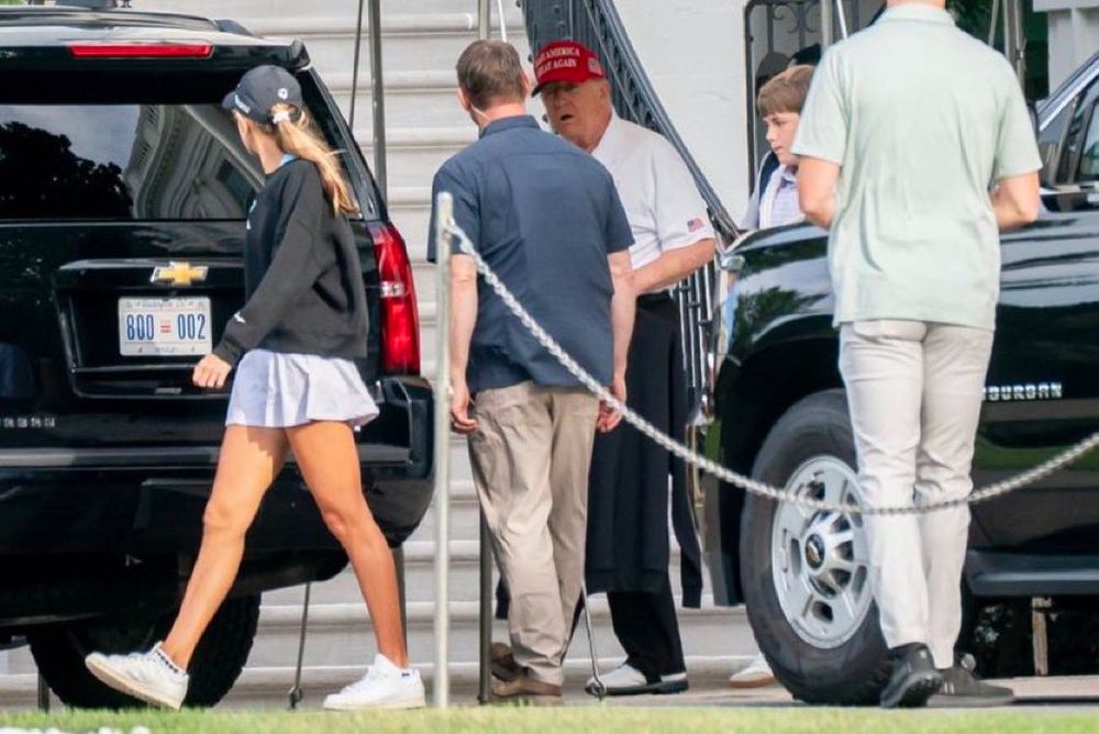 A pig going golfing