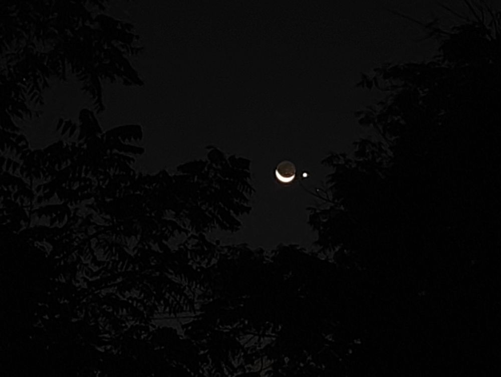 Dark night photo of a crescent moon and a bright dot next to it, Venus, as seen through some trees.