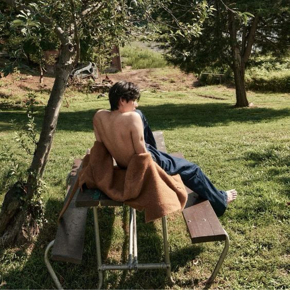 bts v 