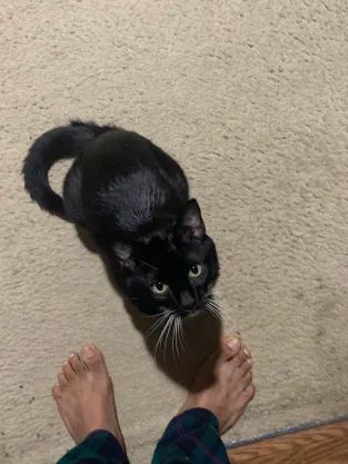 He wanted to eat some batteries