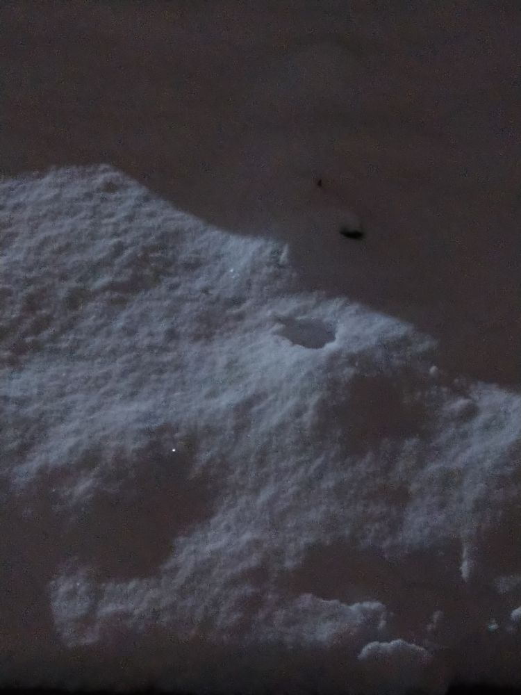 一晩で積もった雪❄
冬はまだこれから