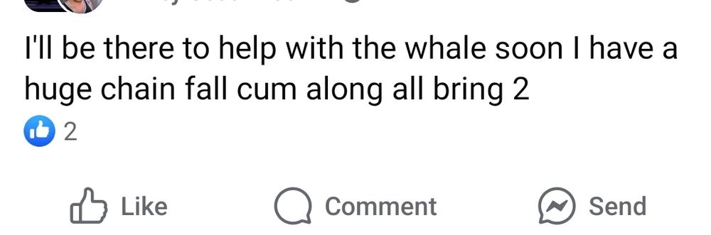 "I'll be there to help with the whale soon I have a huge chain fall cum along all bring 2"