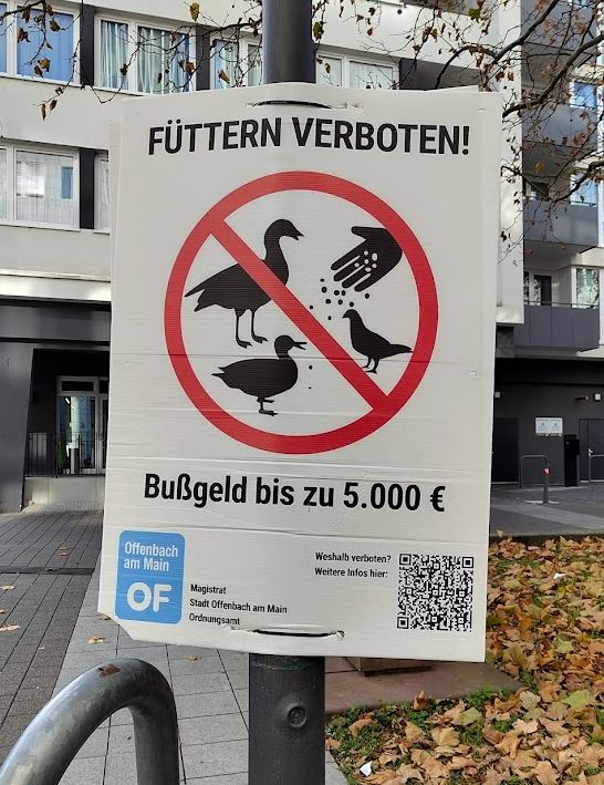 Ein Schild, verteilt im ganzen Stadtgebiet, das sagt, dass füttern von Enten, Gänsen und Tauben mit einem Bußgeld bis zu 5000 EUR geahndet wird.