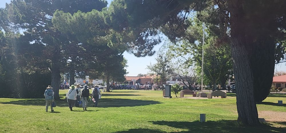 A distant view of a crowd gathered along a street across from some commercial buildings. In the middle ground, a loose group of people walk in the direction of the crowd, across a broad lawn under large trees. 