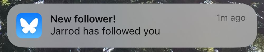 A screenshot of a BlueSky notification saying “New follower!” and “Jarrod has followed you”