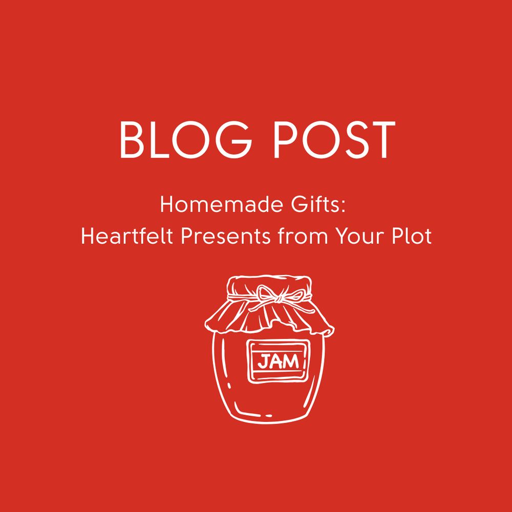 Blog Post.
Homemade Gifts:  Heartfelt Presents from your Plot.
sowitgrowitandfeast.co.uk
