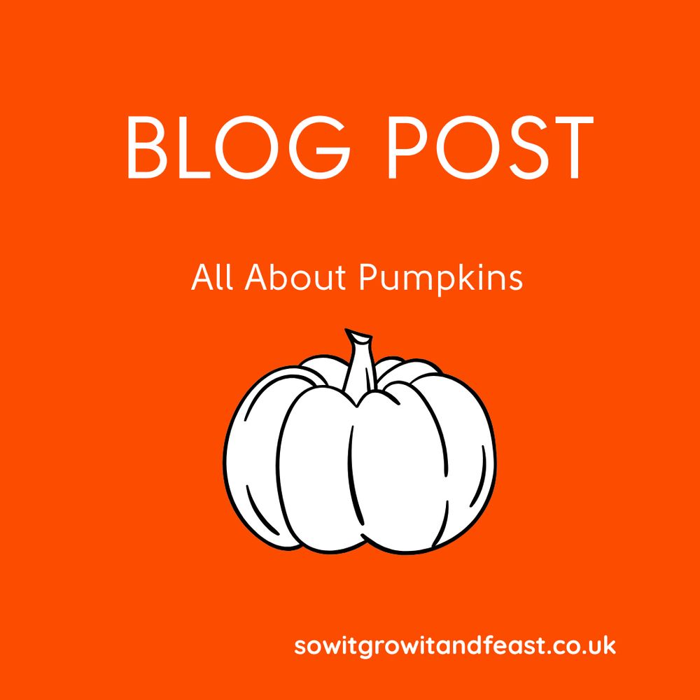 Blog Post.
All About Pumpkins.
Image of Pumpkin.
sowitgrowitandfeast.co.uk