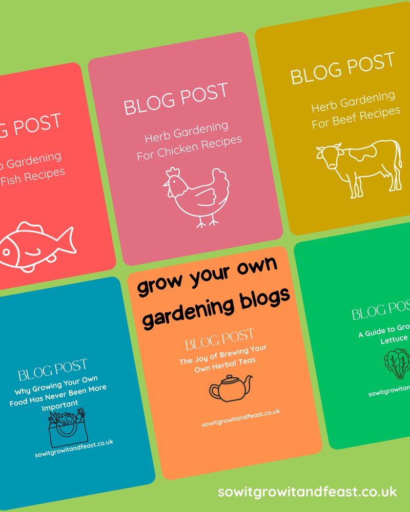 Sow It Grow It and Feast!
Blog Summary.
sowitgrowitandfeast.co.uk