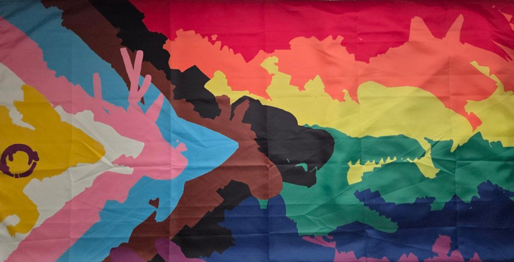 @nonstoppup.bsky.social Pride Flag