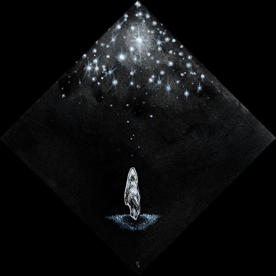 mixed media artwork of a coyote levitating toward a sea of stars