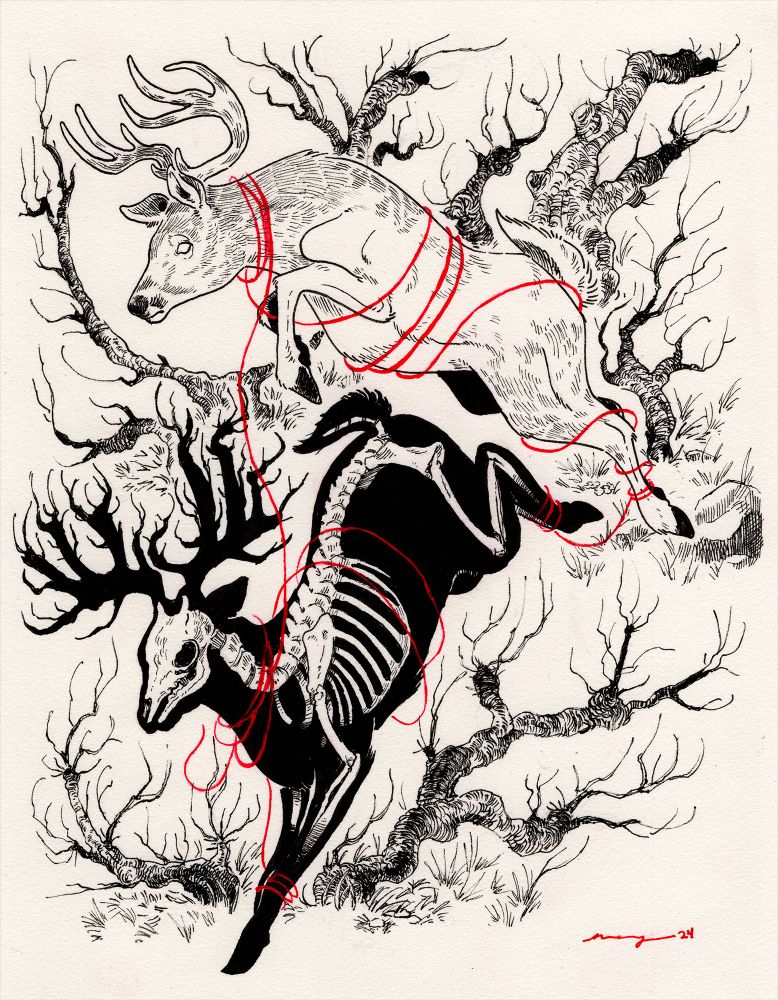 Two stags bounding downhill. One stag is leaping over another stag. The lower stag is a deer's skeleton in a silhouette of a deer. Both deer are bound loosely by a red thread. Drawn in pen, ink, and gouache for a group art show.
