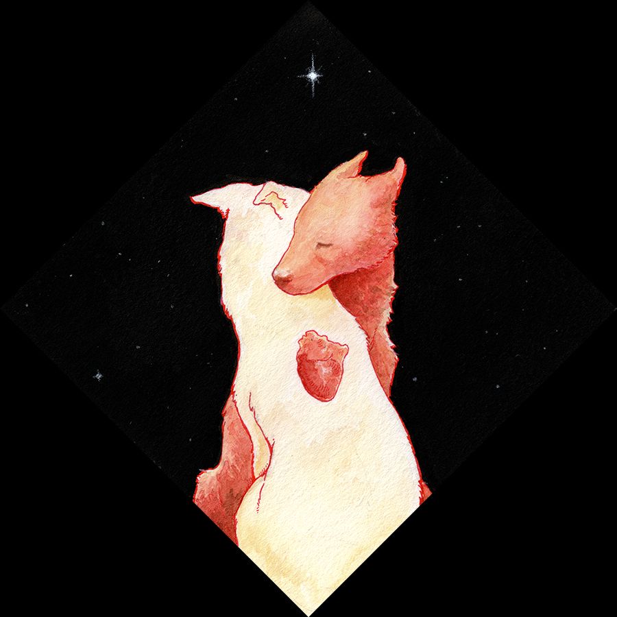 ink and watercolor painting of two dogs in a gentle, tender embrace. one dog is white, the other is red. within the white dog is an exposed heart. the heart and the red dog have the same color palette. it is to represent vulnerability in tender intimacy, and bravely opening oneself to another and desire to feel unity with another individual.